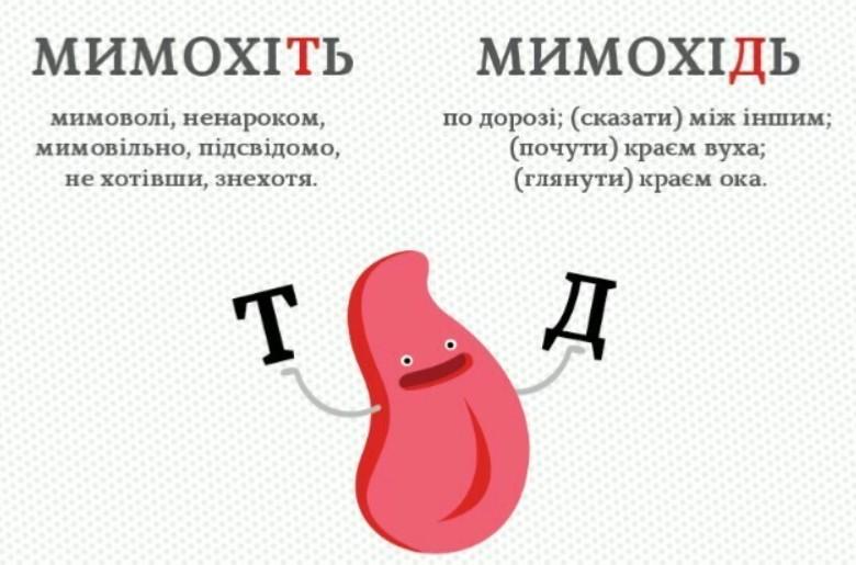 5 прикладів паронимів: як не плутати слова, що схожі!