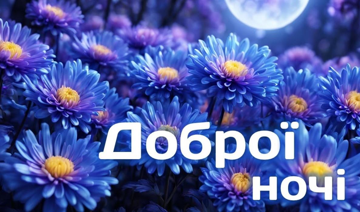 Оригінальні побажання доброї ночі – приклади та лайфхаки